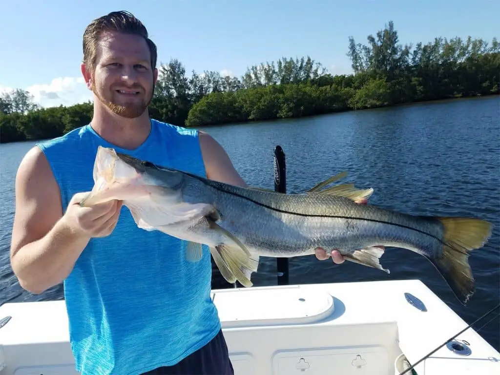 St. Petersburg snook
