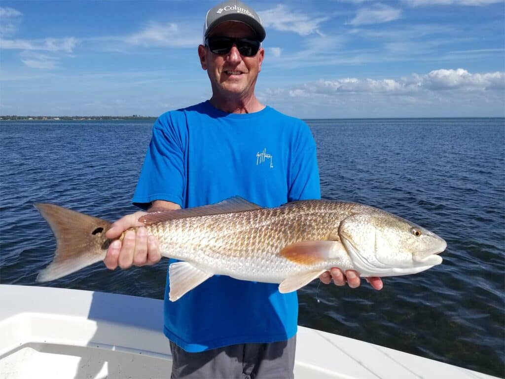 redfish on st pete fishing charter