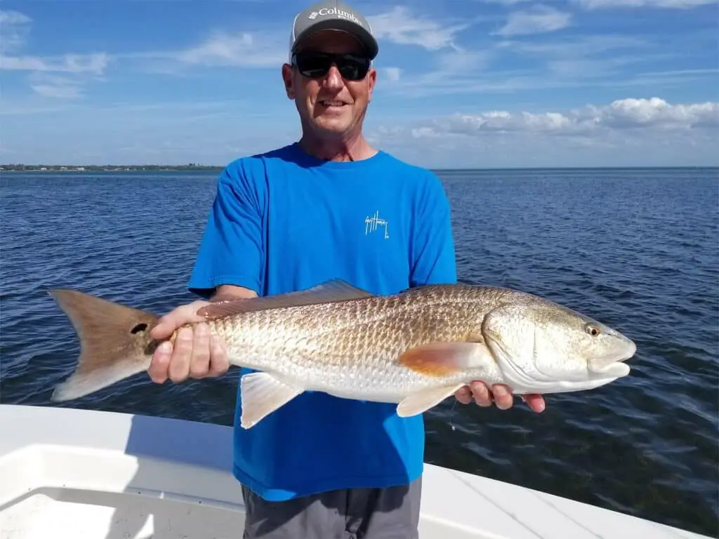 redfish on st pete fishing charter