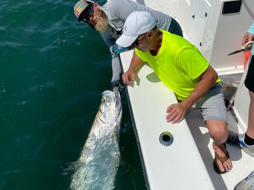 sunshine skyway tarpon charter