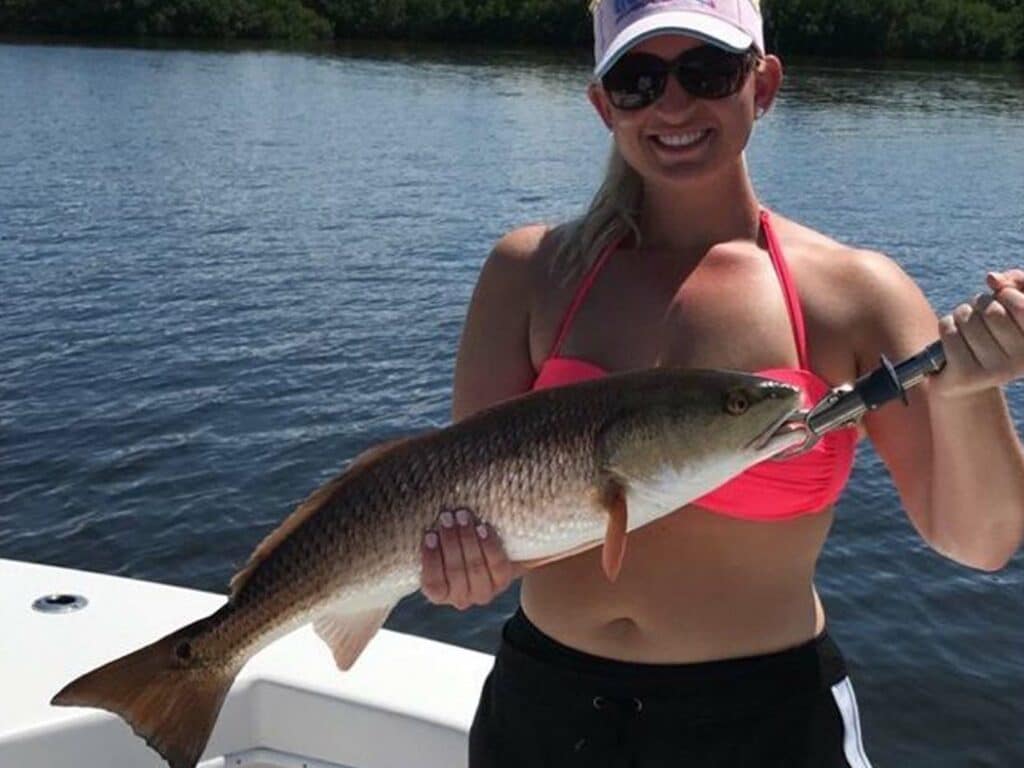 redfish caught along the mangroves