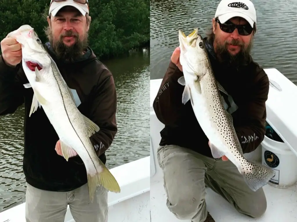 spring time snook