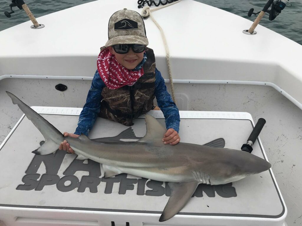 shark caught on family fishing charter