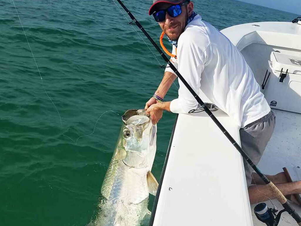 big tarpon are here