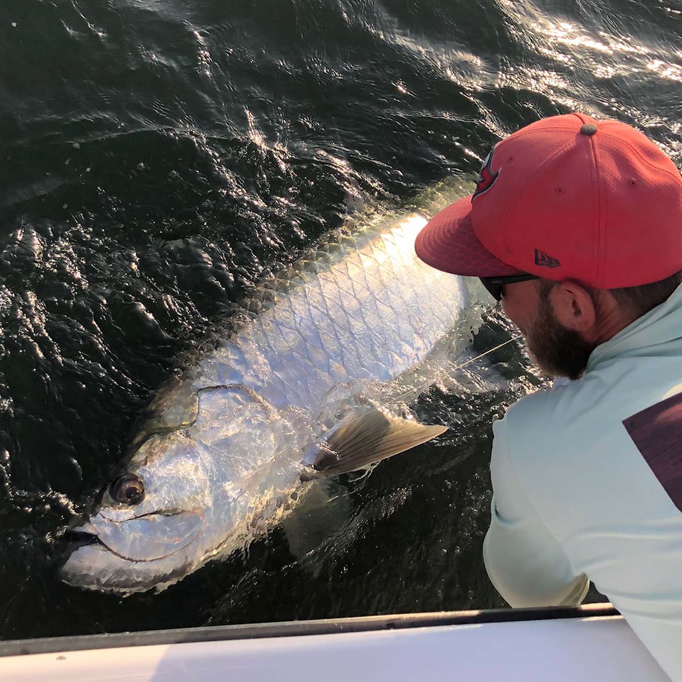 Tarpon Fishing Season 2018